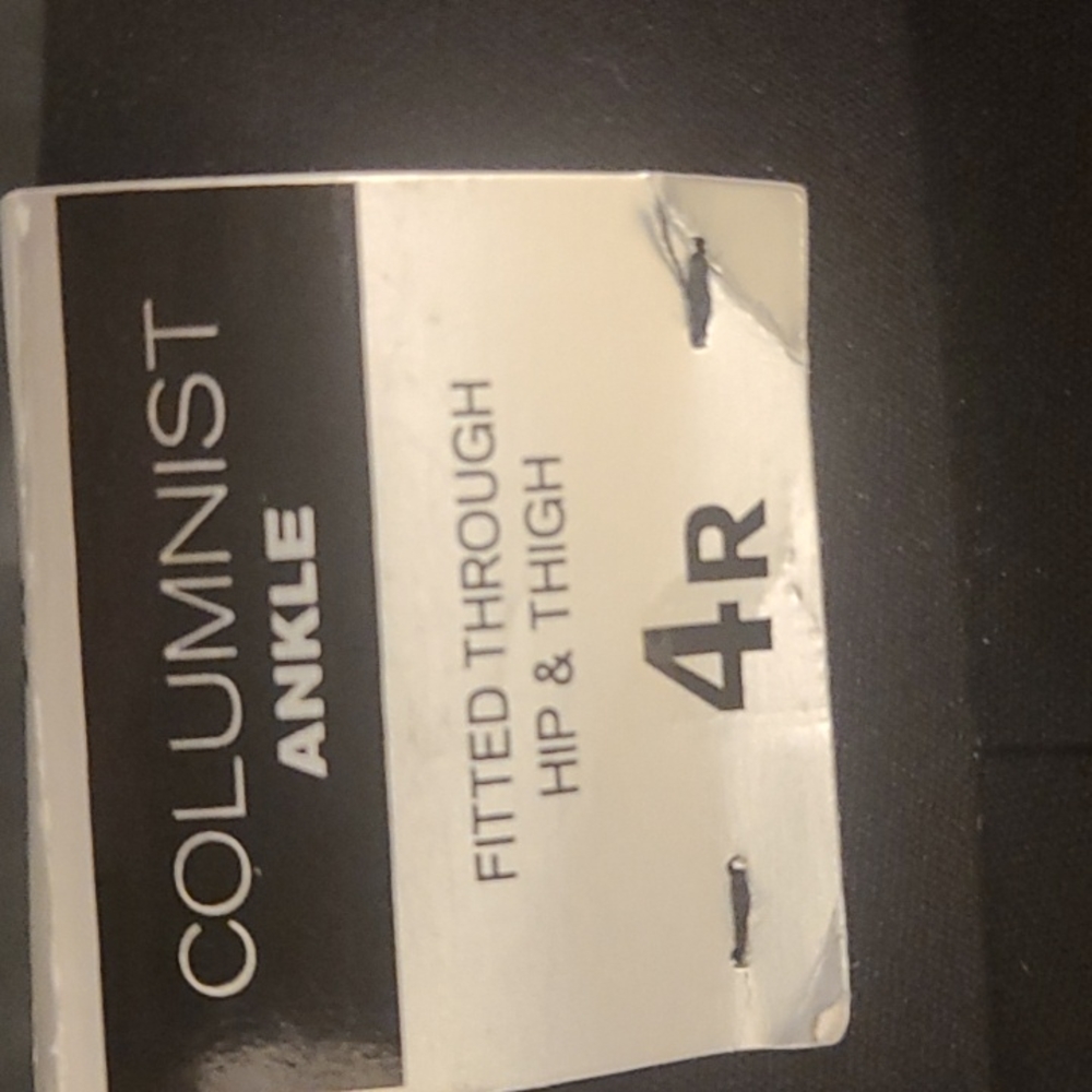 Express columnist ankle black pants